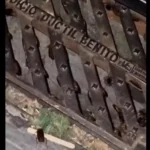 Indignación de los vecinos por la respuesta del Ayto de Illescas sobre el tema «rastreros» (hay video)